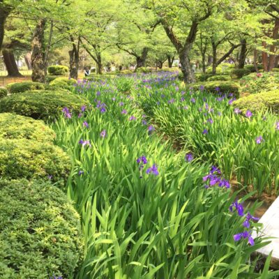 Okayama and Kurashiki Tour: Korakuen Garden + Kurashiki Bikan Historical Quarter